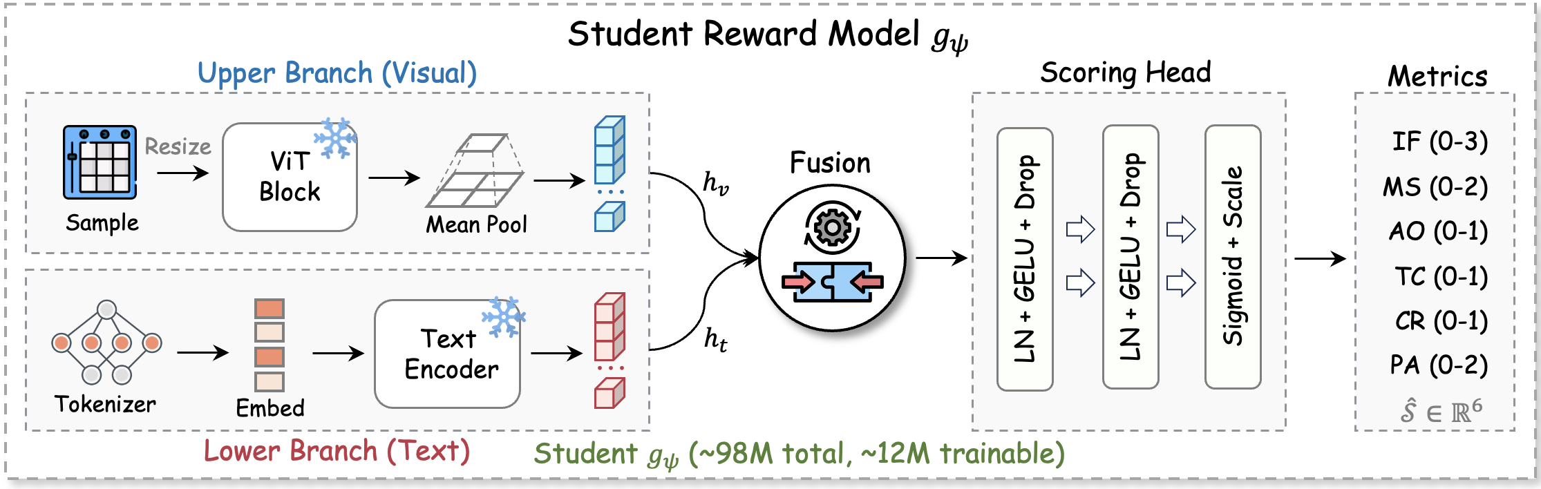 Student reward model architecture